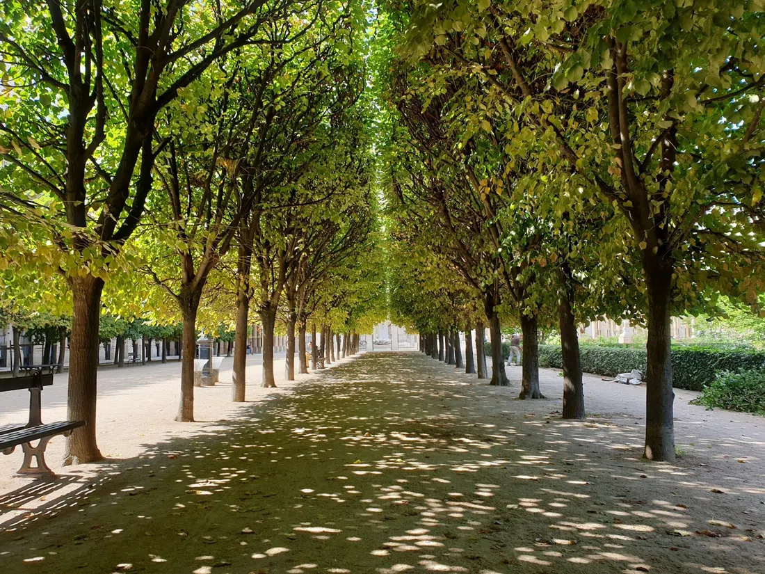 Jardin du Palais-Royal, Paris
