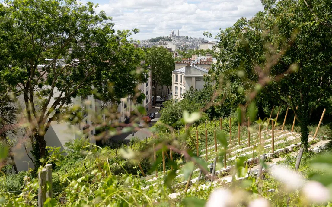 Clos Montmartre, Parigi