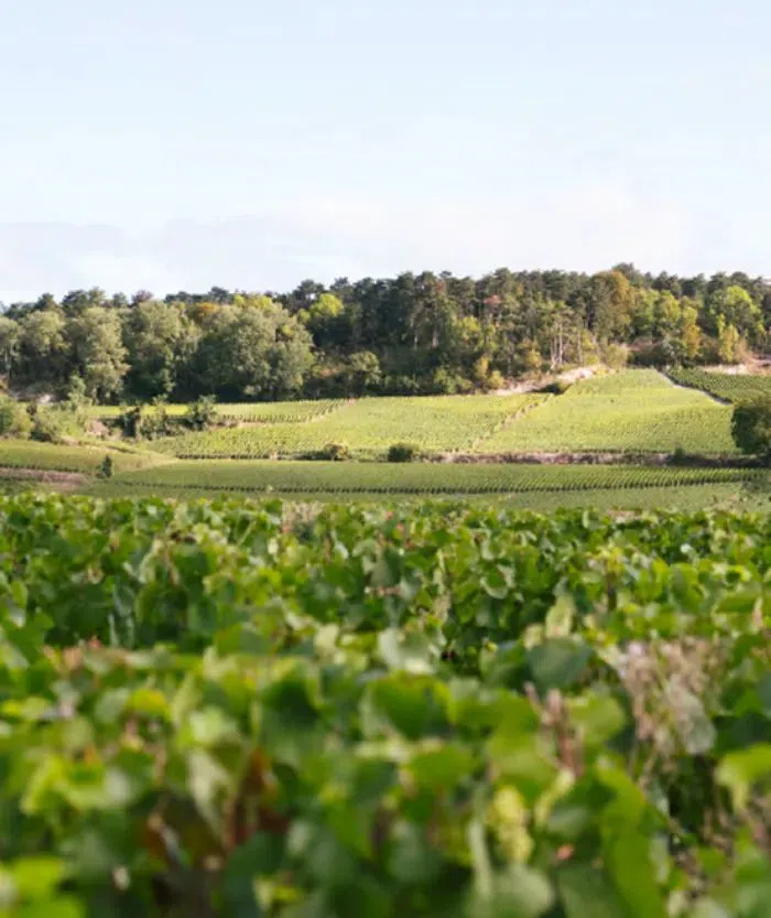 Maison Pommery (Domaine Pommery), Reims, Paris