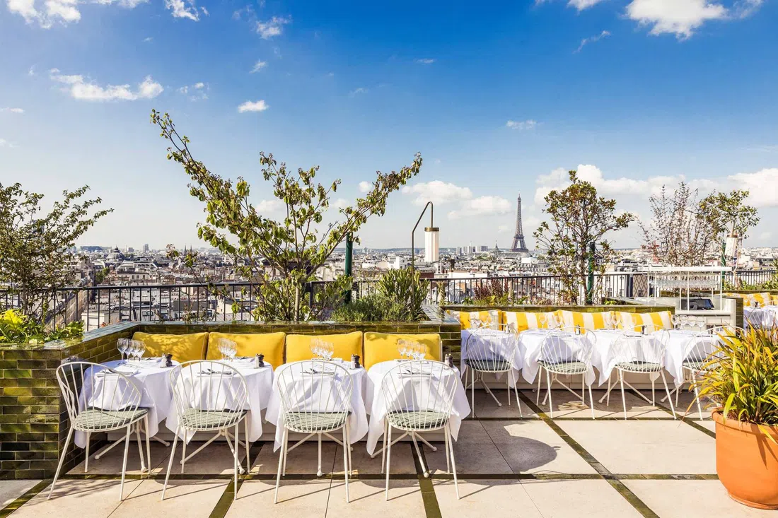 Perruche, Paris