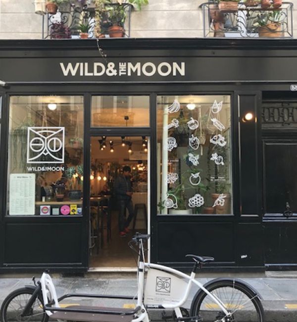 Wild & The Moon — photo 4